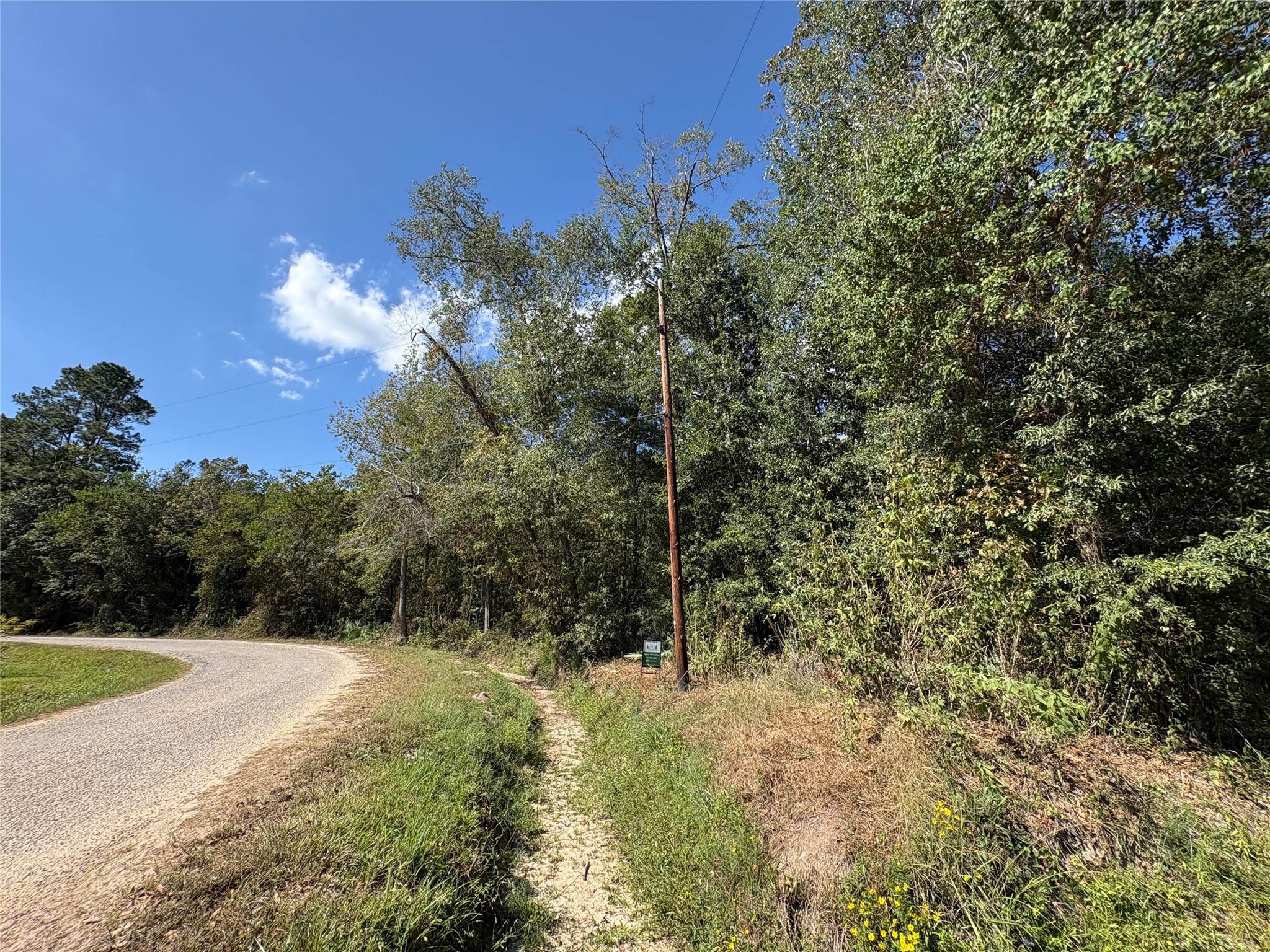 Lot 244 Mehringer Road Shepherd, TX 77371 - Photo 3 of 10 a view of a yard with a tree