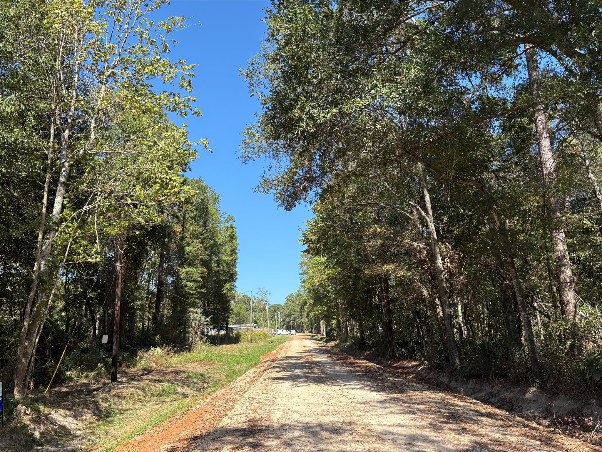 Lot 244 Mehringer Road Shepherd, TX 77371 - Photo 7 of 10 a view of a yard with plants and trees