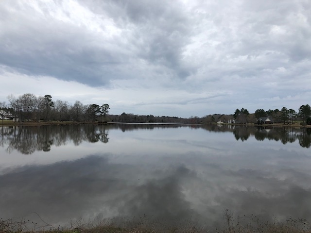 Lot 16 Elizabeth Street Cochran, GA 31014 - Photo 11 of 14