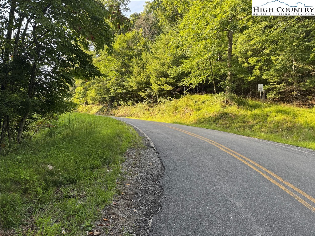 Lot 20 Double Branch Road Grassy Creek, NC 28631 - Photo 13 of 13
