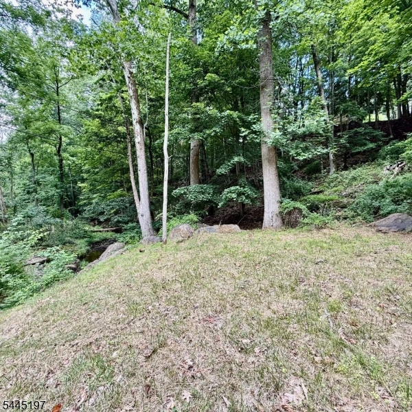 58 Hollow Road Glen Gardner, NJ 08826 - Photo 14 of 17