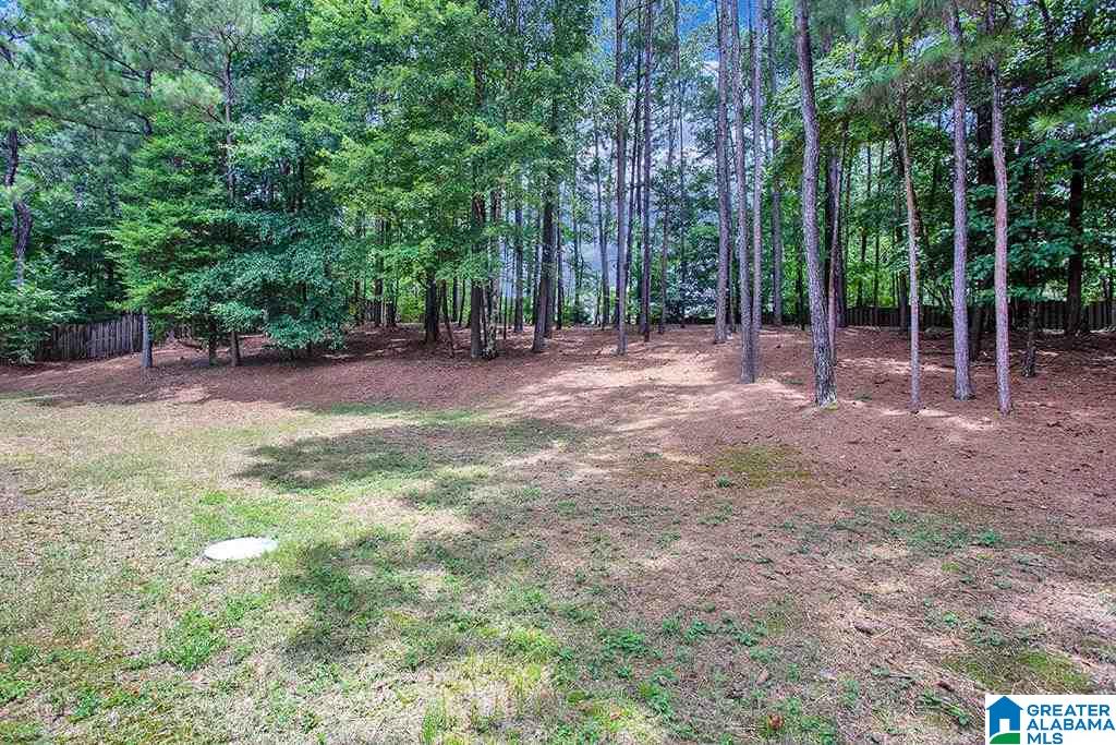 3628 Oakleaf Drive Helena, AL 35022 - Photo 31 of 33