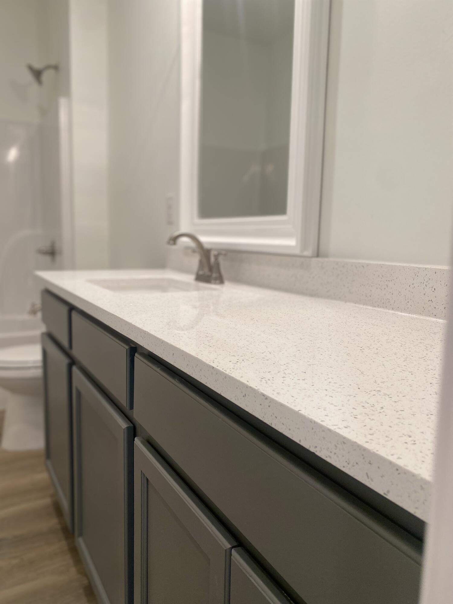 5464 Jenee Court Crestview, FL 32539 - Photo 10 of 10 a close view of sink and a vanity