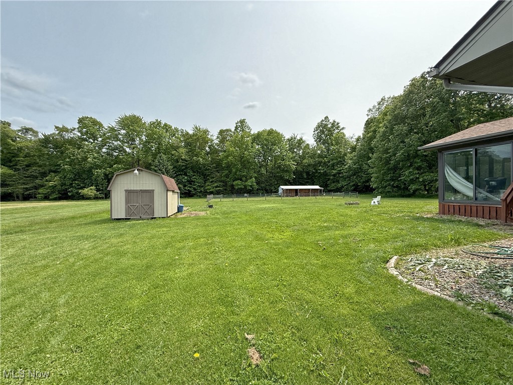 11737 Gladstone Road Warren, OH 44481 - Photo 28 of 41 View of grassy yard with a storage shed