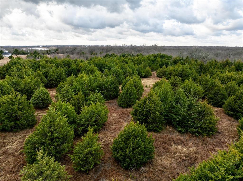 8389 County Road 502 Blue Ridge, TX 75424 - Photo 11 of 35