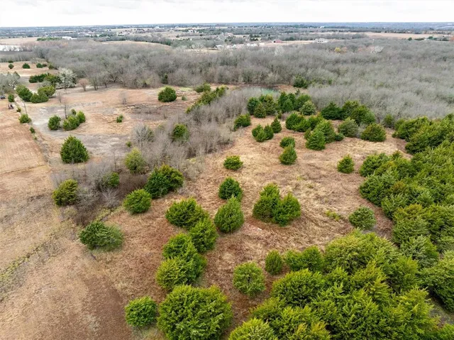 $700,000 | 8389 County Road 502, Blue Ridge, TX 75424