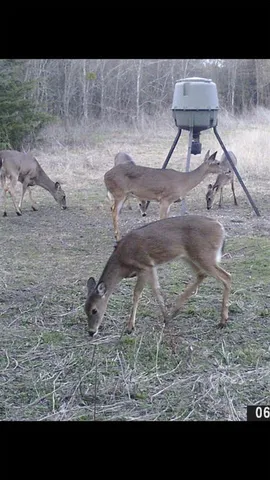 $700,000 | 8389 County Road 502, Blue Ridge, TX 75424