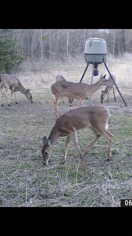 8389 County Road 502 Blue Ridge, TX 75424 - Photo 29 of 35