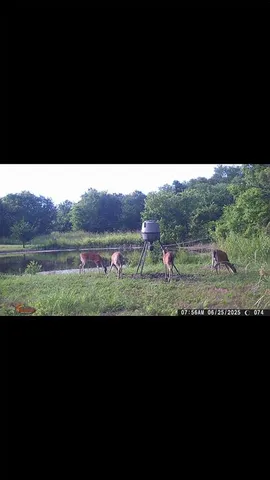 $700,000 | 8389 County Road 502, Blue Ridge, TX 75424