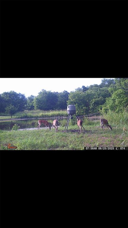 8389 County Road 502 Blue Ridge, TX 75424 - Photo 30 of 35