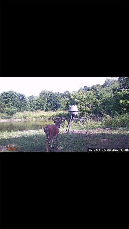 8389 County Road 502 Blue Ridge, TX 75424 - Photo 31 of 35