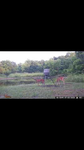 $700,000 | 8389 County Road 502, Blue Ridge, TX 75424