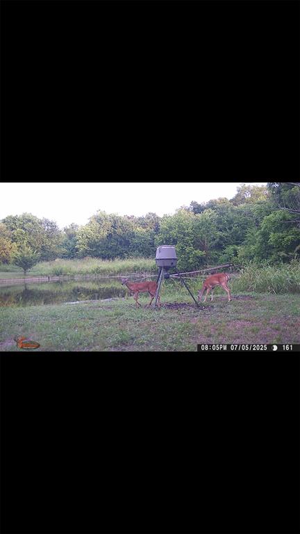 8389 County Road 502 Blue Ridge, TX 75424 - Photo 32 of 35