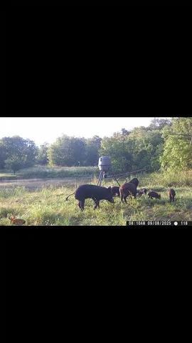 $700,000 | 8389 County Road 502, Blue Ridge, TX 75424