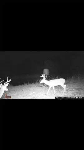 $700,000 | 8389 County Road 502, Blue Ridge, TX 75424