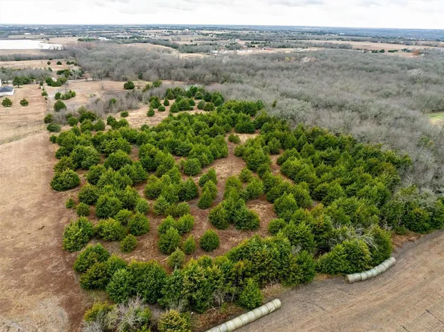 $700,000 | 8389 County Road 502, Blue Ridge, TX 75424