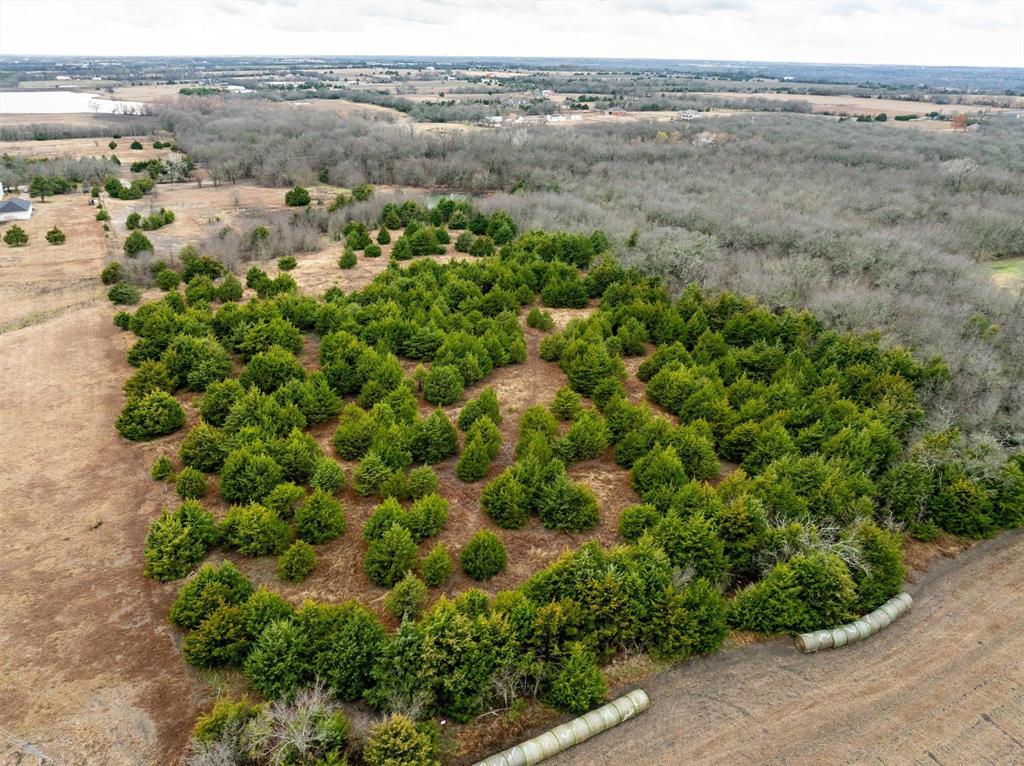 8389 County Road 502 Blue Ridge, TX 75424 - Photo 9 of 35