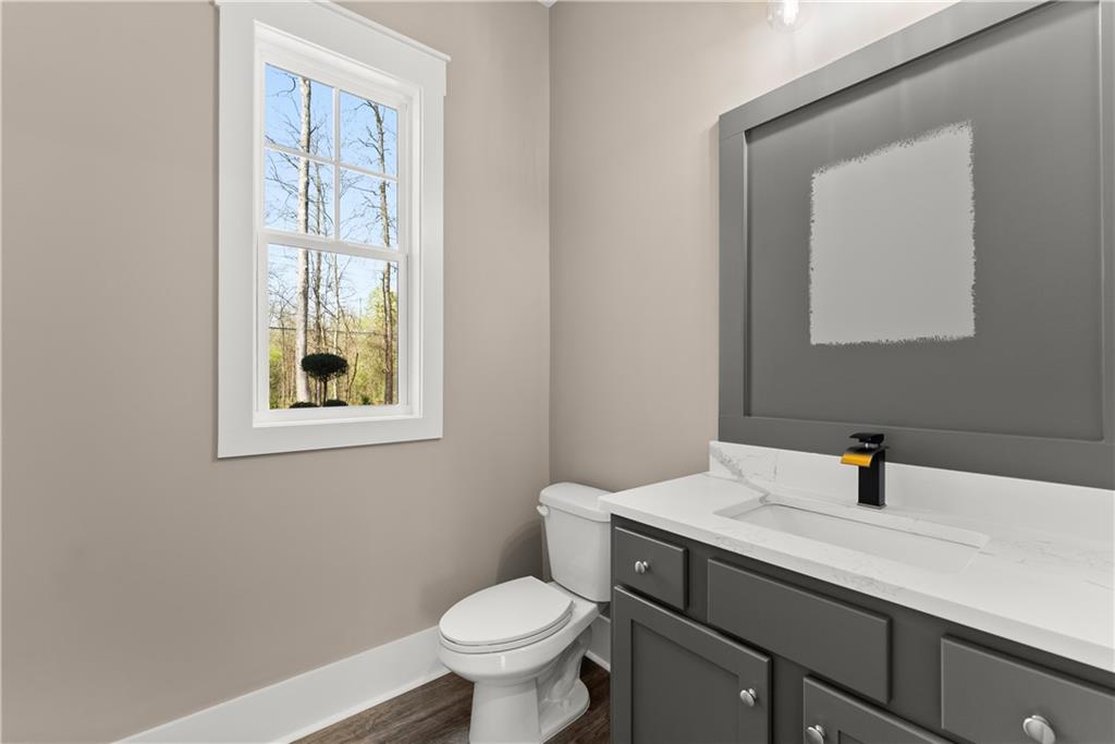 5697 Ball Ground Road Ball Ground, GA 30107 - Photo 46 of 63 a bathroom with a sink toilet and vanity