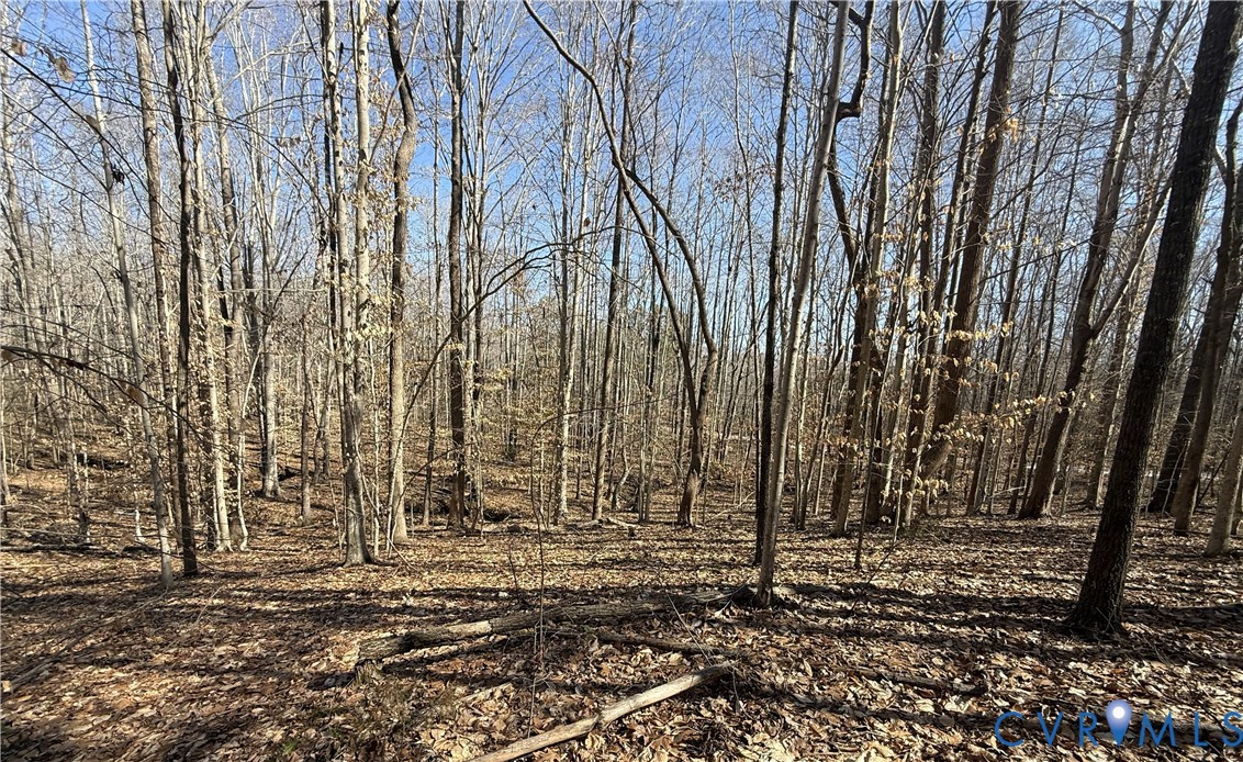 8.2-ac Plantersville Road Drakes Branch, VA 23937 - Photo 4 of 9