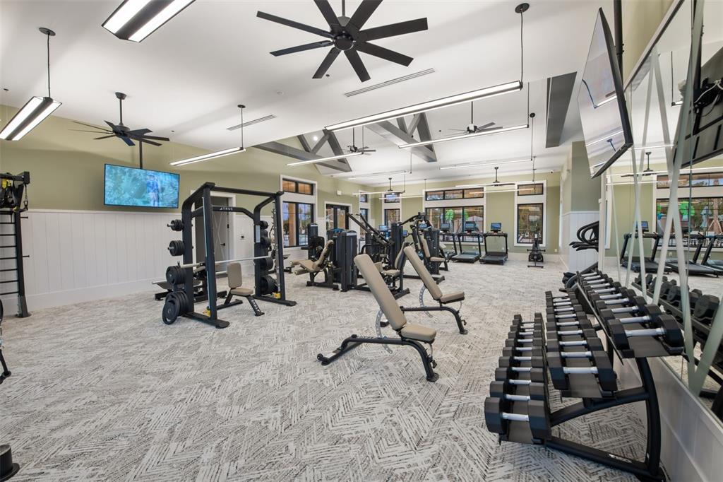 6888 Gilly Shadow Street Wesley Chapel, FL 33545 - Photo 38 of 46 a view of a room with gym equipment