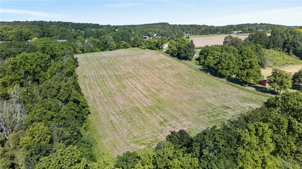 Cramer Road Canandaigua, NY 14424 - Photo 39 of 47