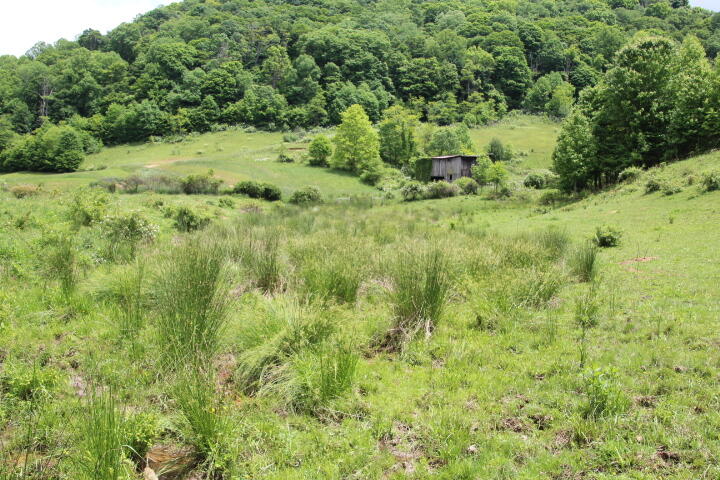 0 Michael Road Trade, TN 37691 - Photo 8 of 10 IMG_9442