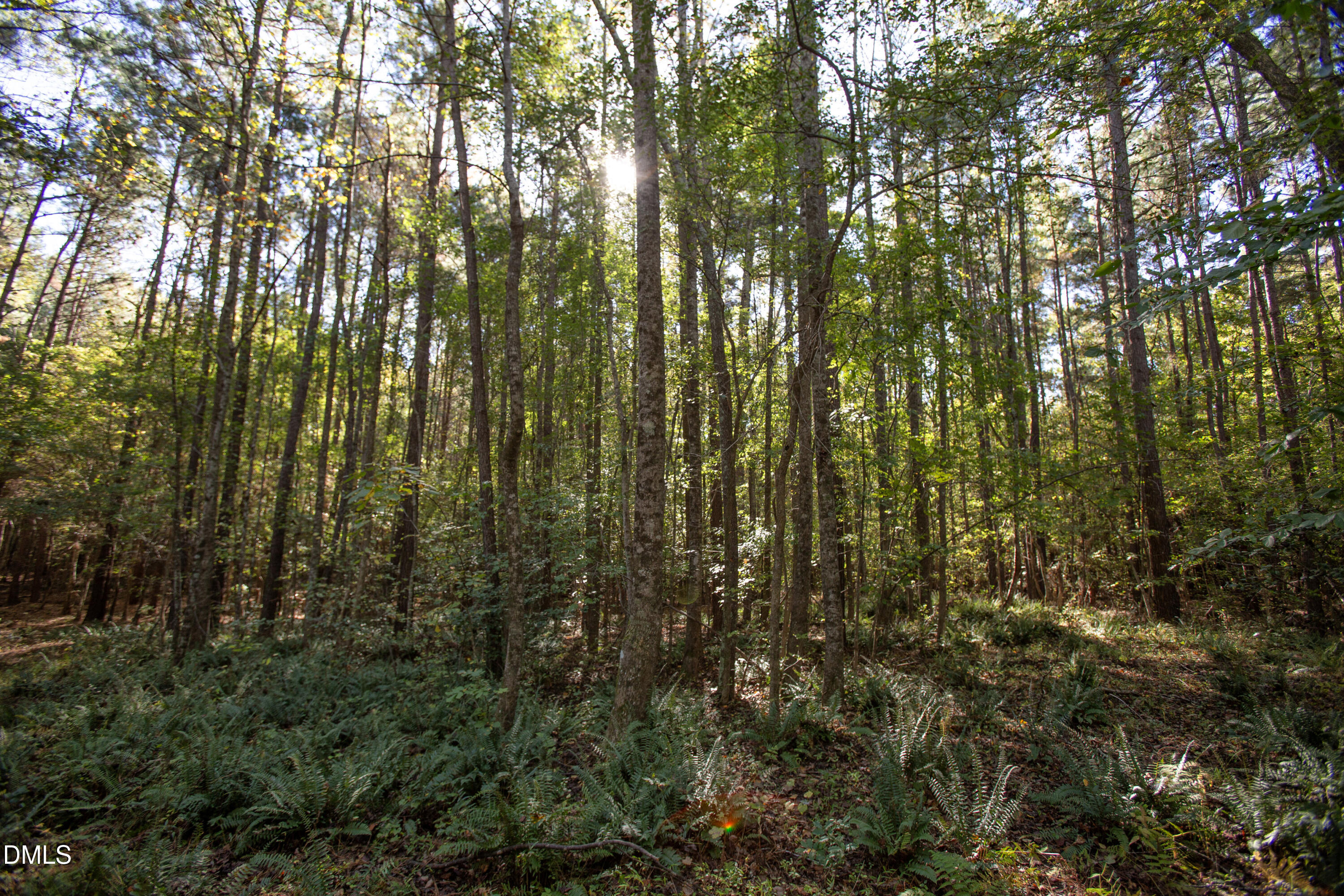 251 Red Wells Road Spring Hope, NC 27882 - Photo 13 of 18 Redwells Road 15