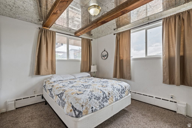 149 West 1600th Street South Mapleton, UT 84664 - Photo 15 of 44 Bedroom featuring baseboard heating and dark carpet
