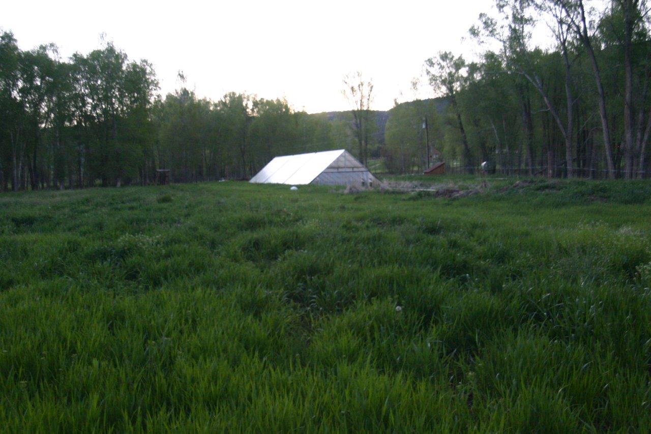 771 Cnty Road Ridgway, CO 81432 - Photo 61 of 68 Fertile Ground for Garden