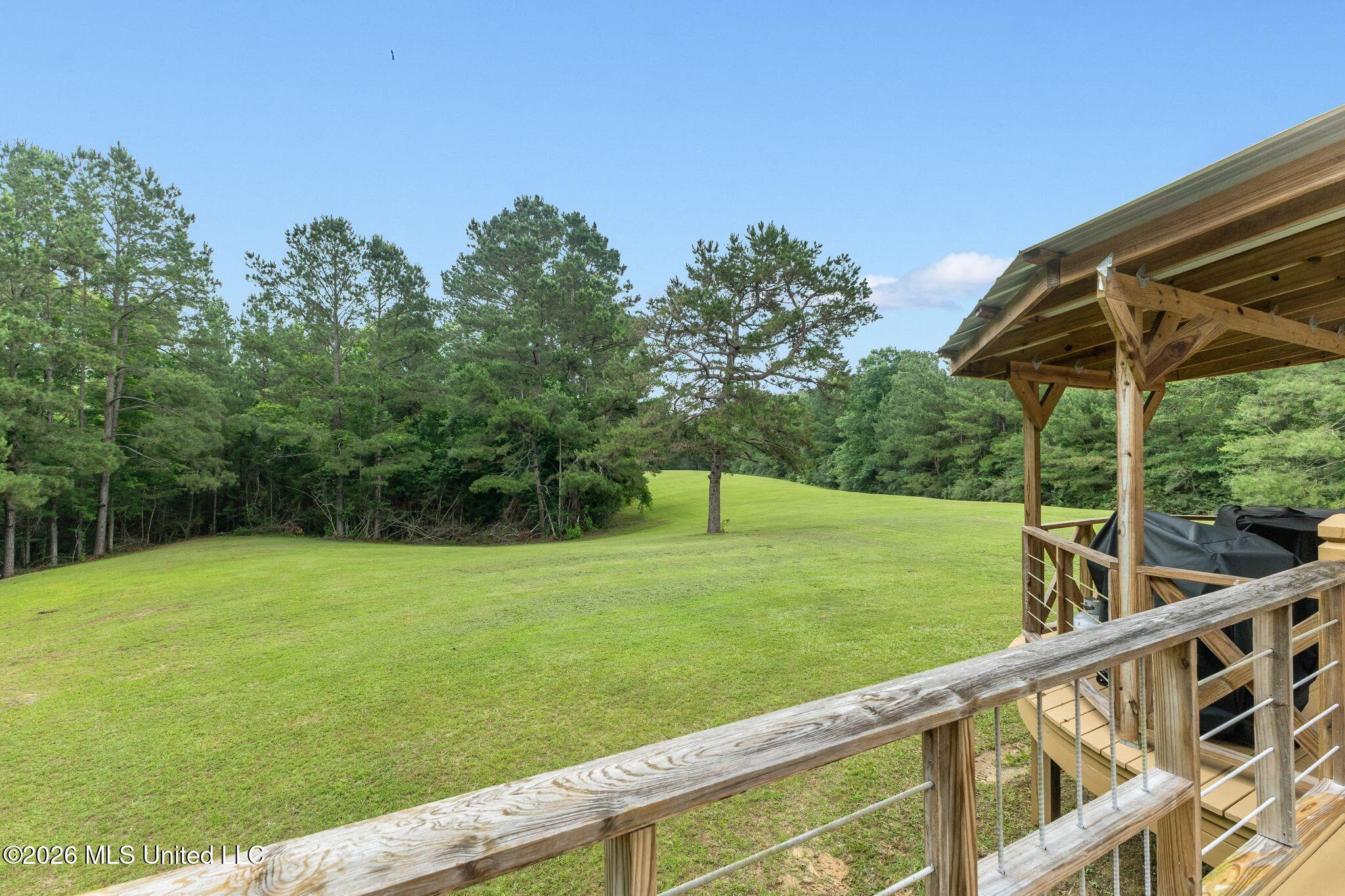 33 McMahan Cutoff Road Sumrall, MS 39482 - Photo 67 of 87 Exterior-67