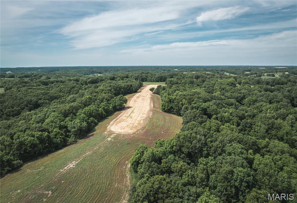 1757 Infidel Hollow Road Mozier, IL 62070 - Photo 30 of 52
