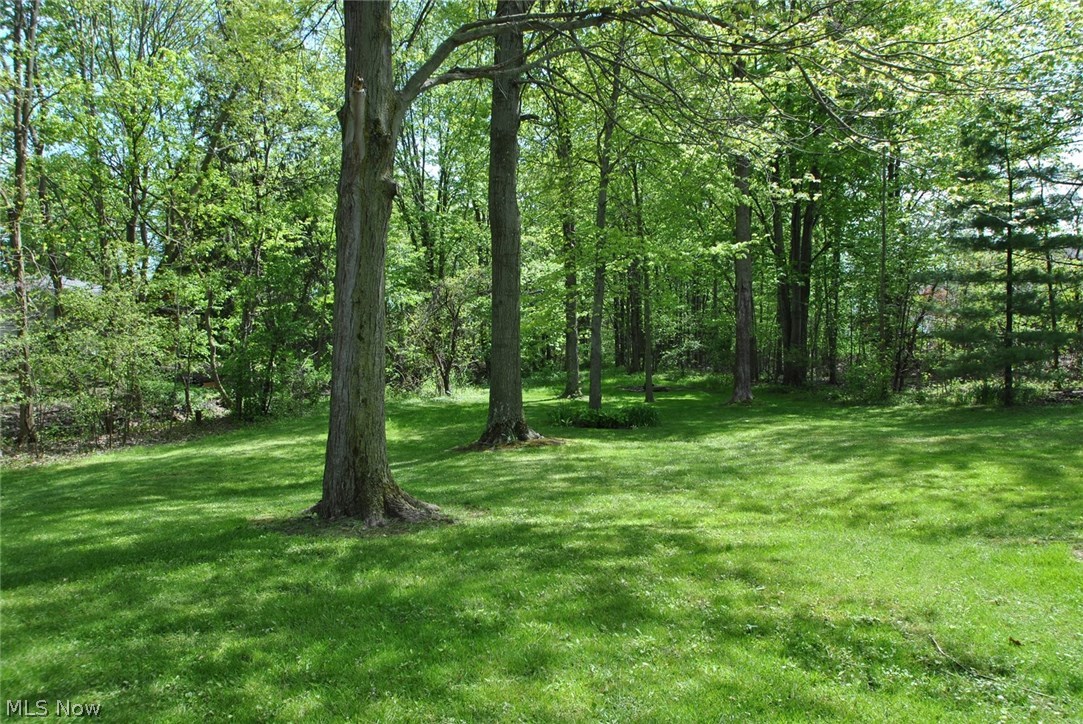 36845 Kinzel Road Avon, OH 44011 - Photo 17 of 20 Gallery Image 17
