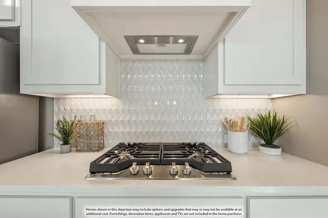 a kitchen with a stove and a potted plant