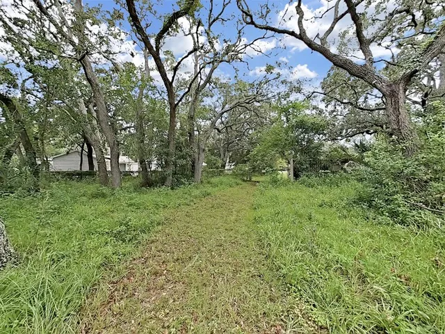 a view of outdoor space with trees all around