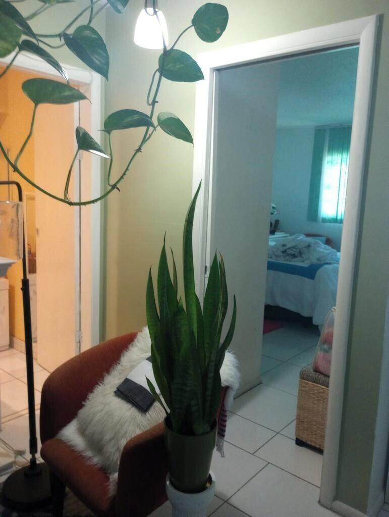 1250 East Sample Road, Unit 307 Pompano Beach, FL 33064 - Photo 2 of 16 Photo 2