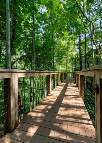 a view of a backyard with large trees