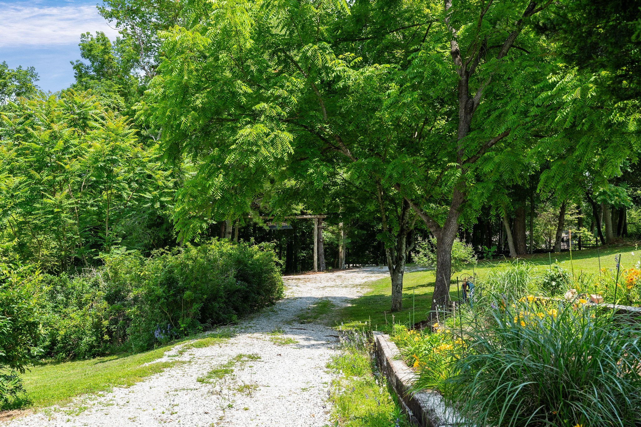 2541 Sparkman Town Road Doyle, TN 38559 - Photo 67 of 72 a view of a park with a tree