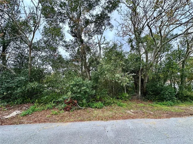 a view of backyard with green space