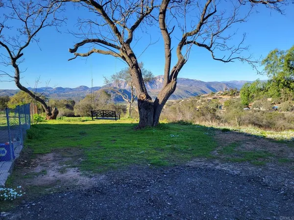 a view of a garden with a tree