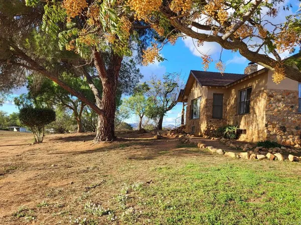 a view of a yard with a tree