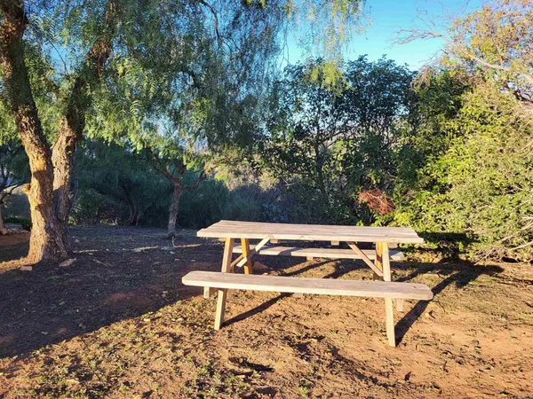 a view of a bench in a backyard