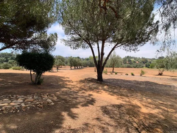 a view of yard covered with trees