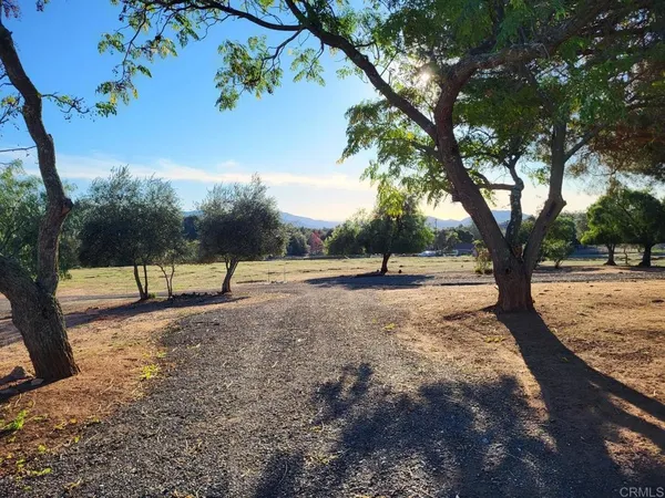 a view of backyard with tree