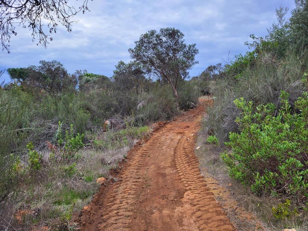 616 Alpine Heights Road Alpine, CA 91901 - Photo 48 of 50 a view of a road with a yard