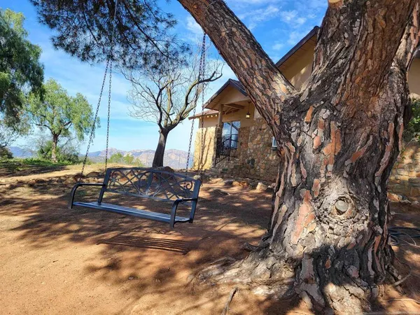 a view of a park with large trees