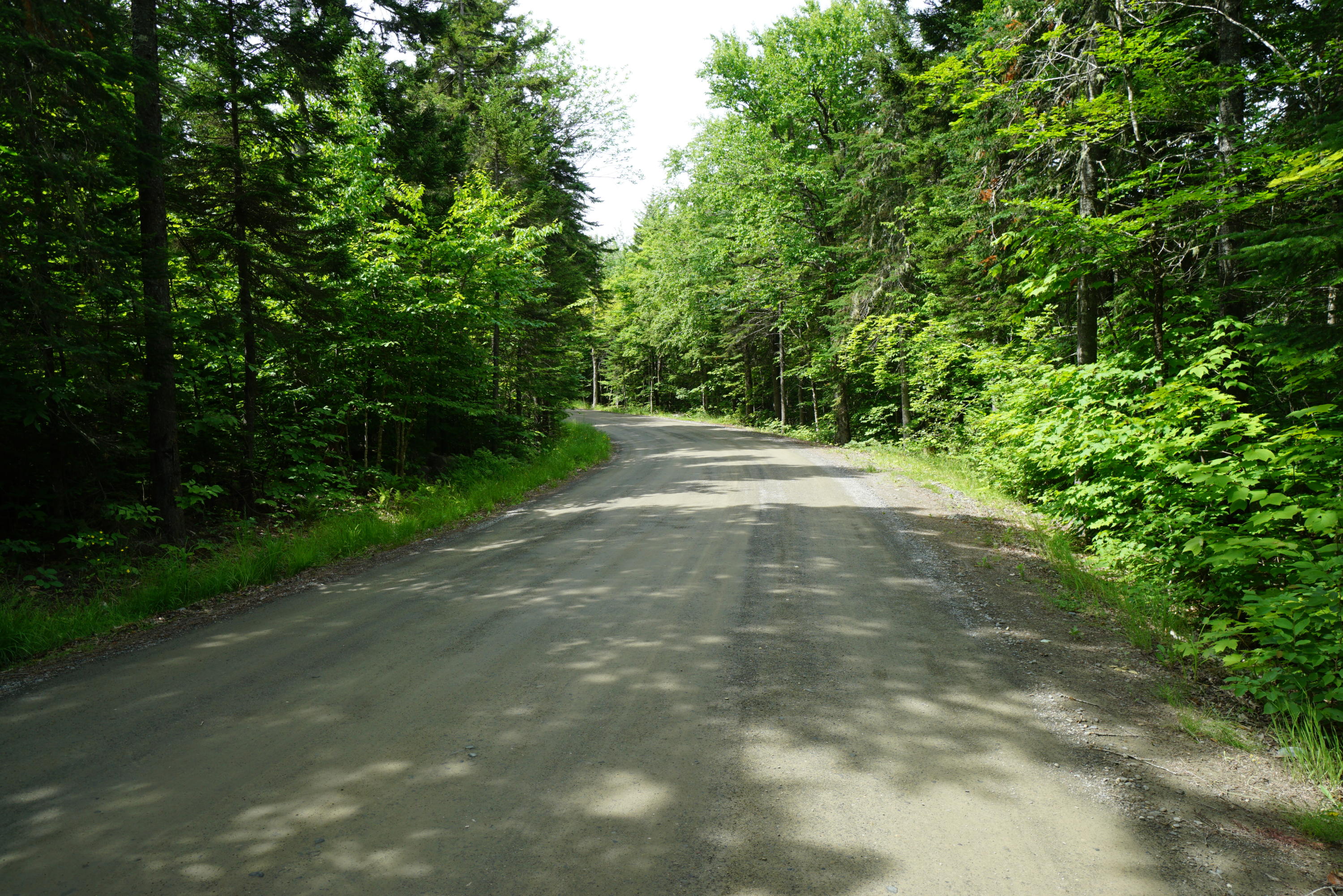 1 Rum Ridge Road Greenville, ME 04441 - Photo 1 of 3 F4BEE8F3-99F5-42A2-AEE9-364D36C4315A