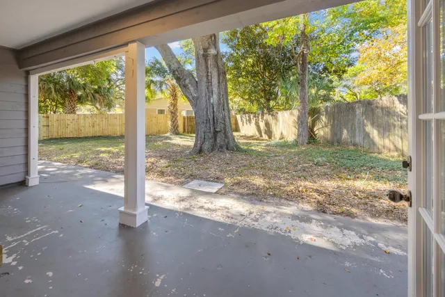 a view of a yard with plants and a large tree