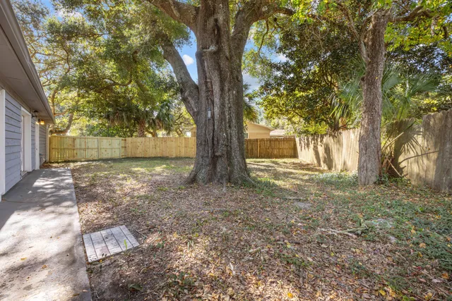 a view of a house with a tree in front of it