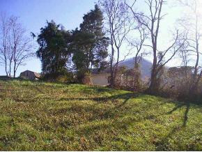 115 Ruby Harmon Road Elizabethton, TN 37643 - Photo 8 of 9 Photo 8