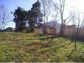 115 Ruby Harmon Road Elizabethton, TN 37643 - Photo 9 of 9 Photo 9
